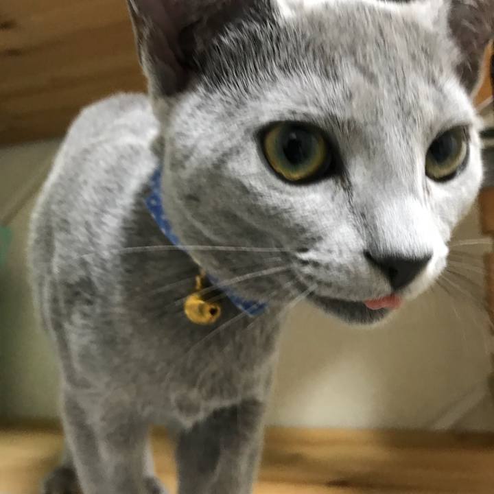 66a14c59 2653 4315 9697 5b0eafbc9586 1508336496352