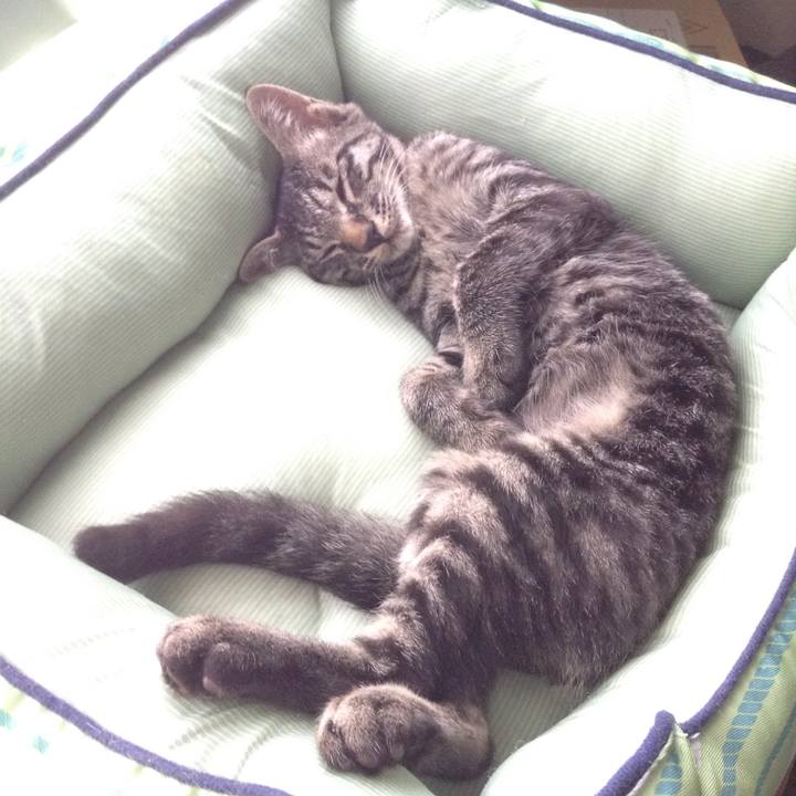 66a1a304 04ba 4b00 b6c6 fc7191329d12 1531458136524