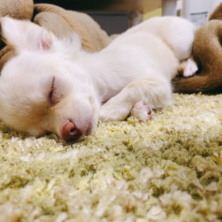 66a1d3cb 9b22 47f7 ab96 adaba93b71f4 1591270563975