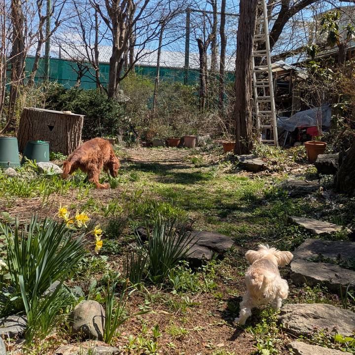 66a2003f 37a5 478f 8388 1d7fc499e505 1775645301600