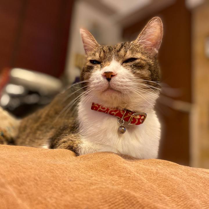 66a20ee6 5956 466e ae5c 7f3e3aadcfc1 1577644298701