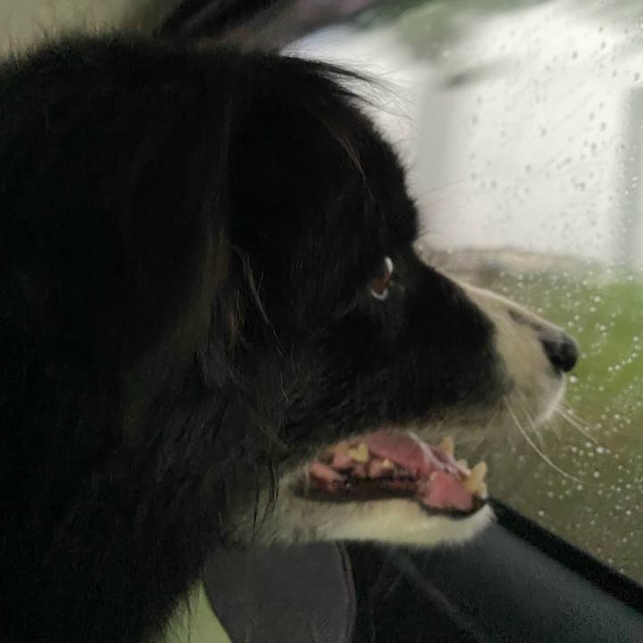 66a22d92 03df 4eb0 a1b9 74b48ec252c9 1688160773445