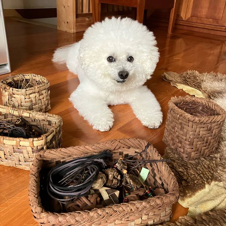 66a24571 0359 45ab a3c9 2b2be7e2502a 1760696926740