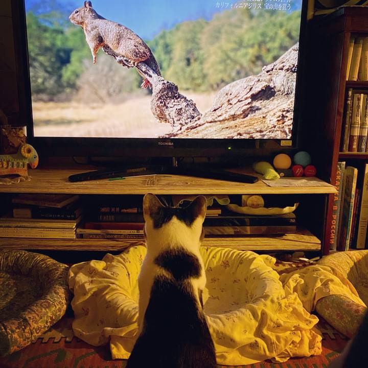 66a24610 ed10 46d0 be9d 74cf15d30d7c 1601903122972