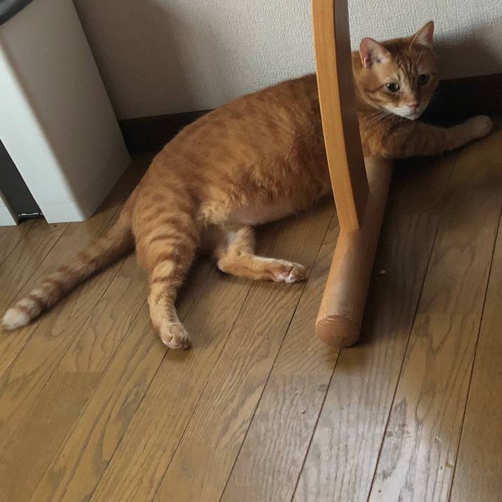 66a2a84d d0d8 4809 b304 b47201dfba74 1627984484363