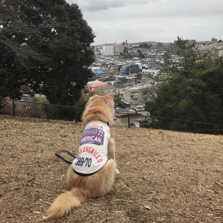 66a32df8 92a5 44d1 ab31 549fa5dfdb12 1615426394429