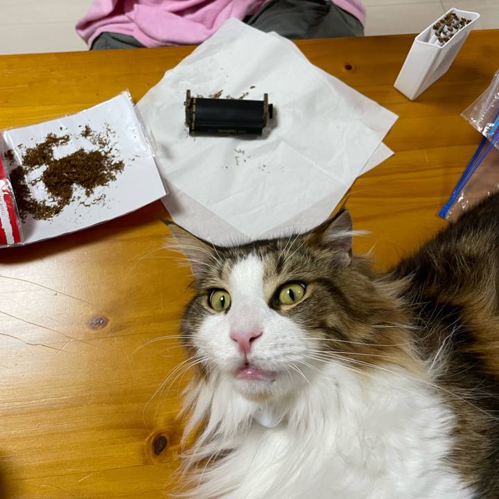 66a350ff fcd5 4c86 a6ea cd5dae8c1e78 1657630370334