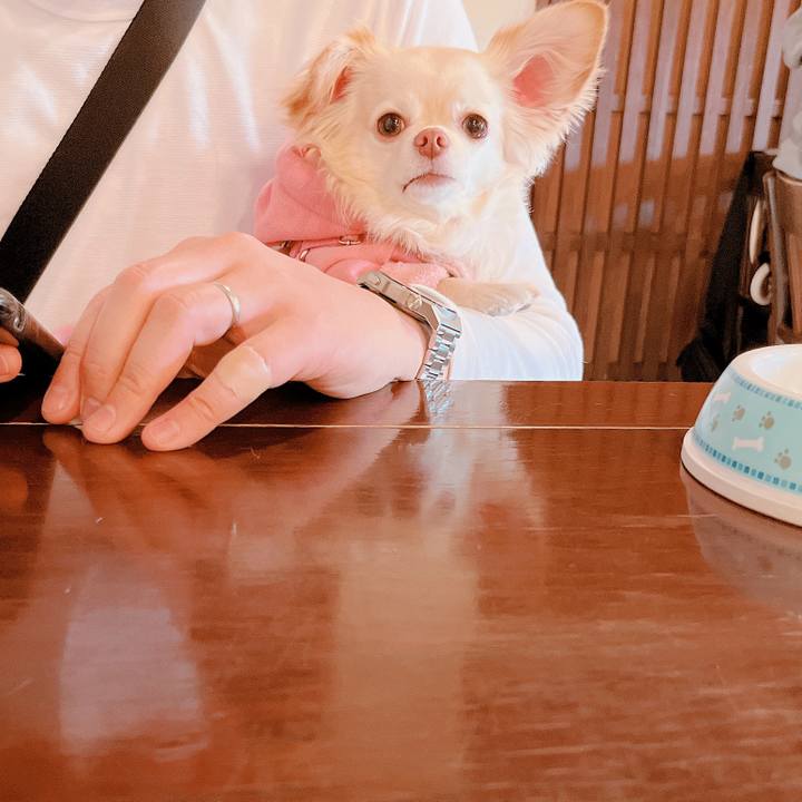 66a35b9b 32fe 4b38 b1f6 4729a4266d2c 1675599248900