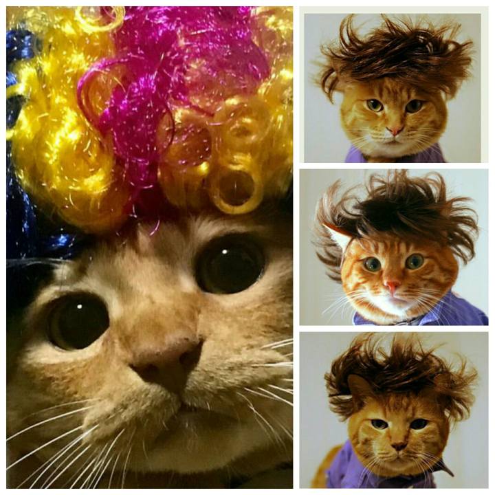 66a37664 cde1 4cc5 ad89 5ca3cd8ce73e 1537248213766