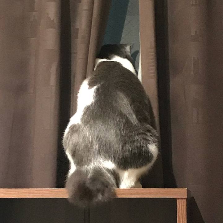 66a39471 4c6d 4126 ad09 e1890482167a 1625395571404