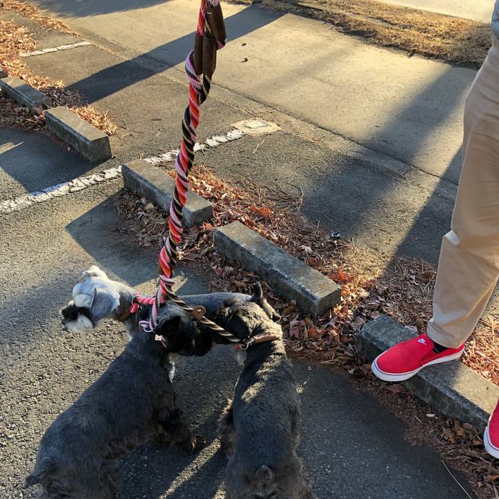 66a39d98 cb81 43b5 a5b8 a7970cd51907 1514615032255