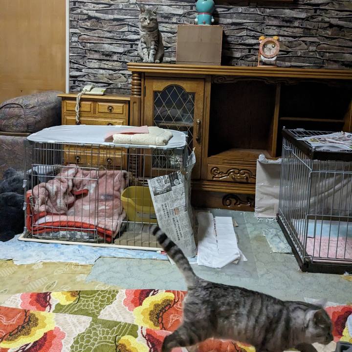 66a3a806 9b8b 4437 84a7 a6d1197c744e 1694089873405