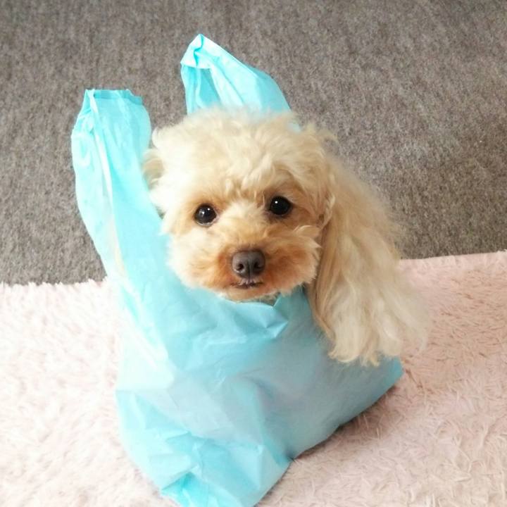 66a3ace1 6257 4839 96de 17a99d9c42fc 1526299345642