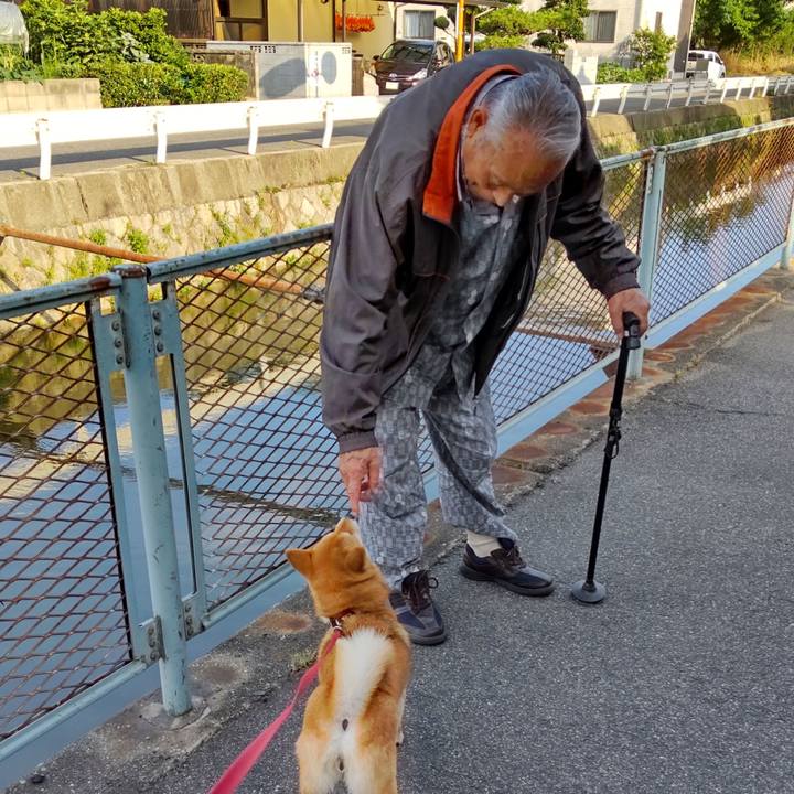 66a3bd67 bbfc 4057 84b3 077b1cc86500 1655889031286