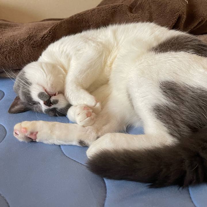 66a3bfe3 44e6 4cc8 9aec 4ba411423700 1660972388729