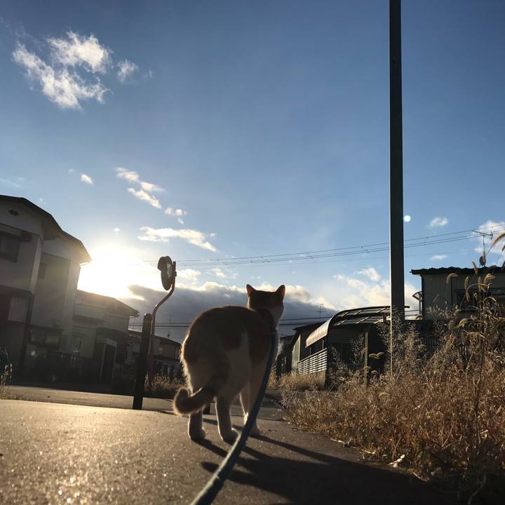 66a3fc75 f260 4682 9f73 a3caa775fae7 1512817575668