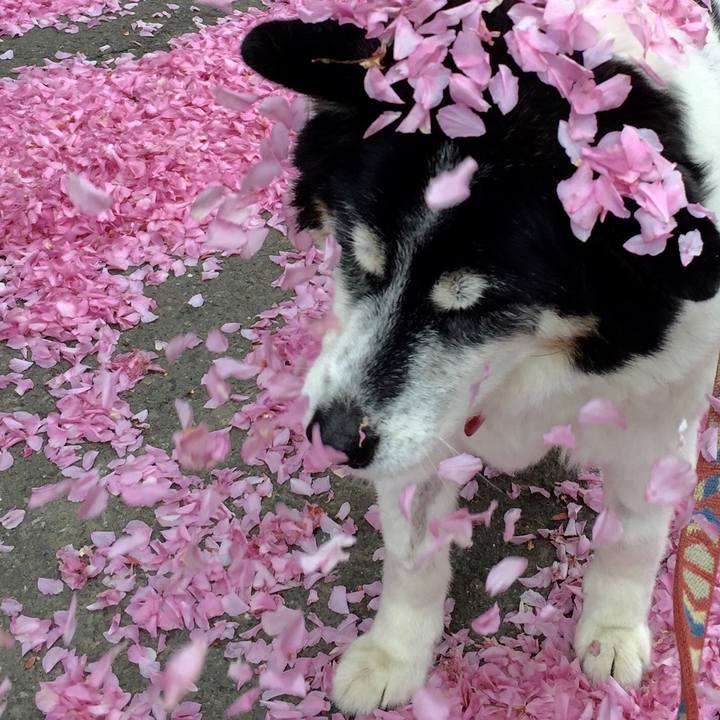 66a47996 bd29 4f1a bc41 cd570daf61ae 1589201084405