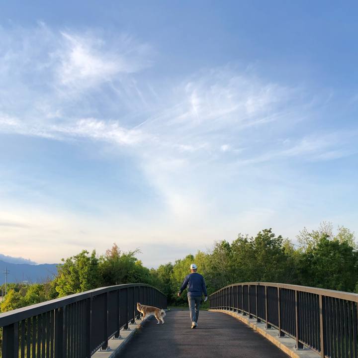 66a47a8e 92a8 4199 ace9 e85df6dfa12d 1588849310618