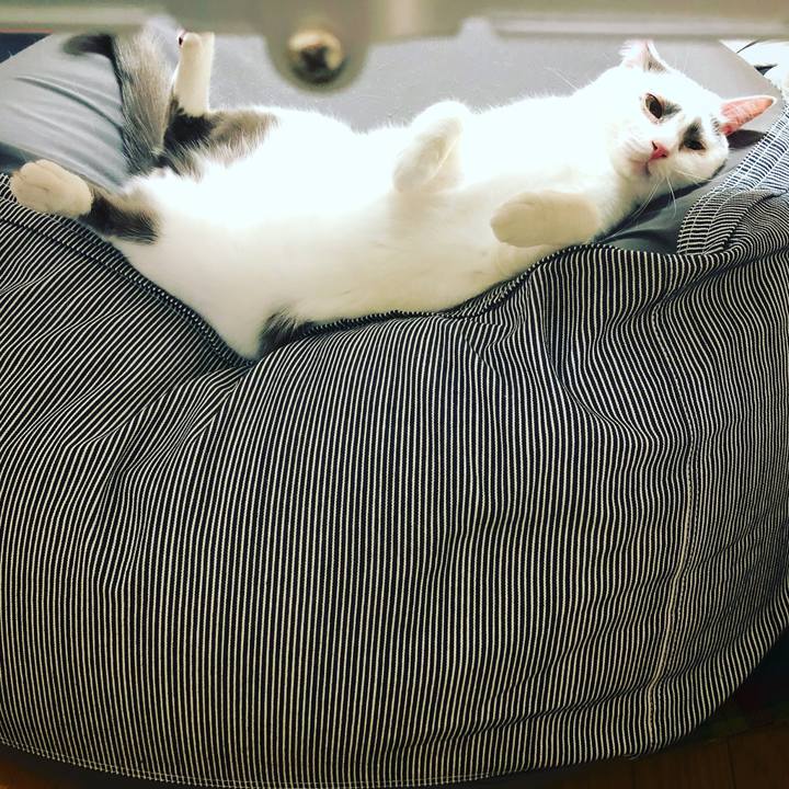 66a4ae75 2d60 48dd ac3c e4439008d395 1520244327807