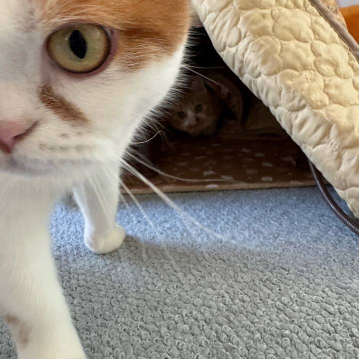 66a4efa0 efd9 4643 b32b 9fd809c0292a 1766715008758