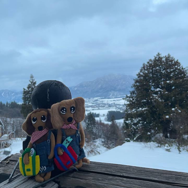 66a50a79 3006 4e98 8134 7be57fb9d79e 1704873362418