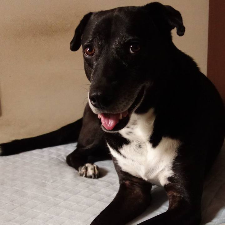 66a538d9 1d76 44c8 85cf 4d07c97cba70 1752534732296