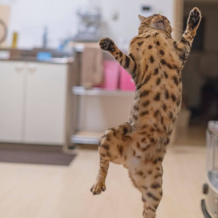 66a5b128 cd93 4369 a44e addd5074f660 1530797185170