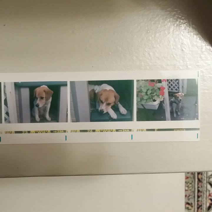 66a5c877 7235 4f0c af70 a1b87a912c17 1522360540906