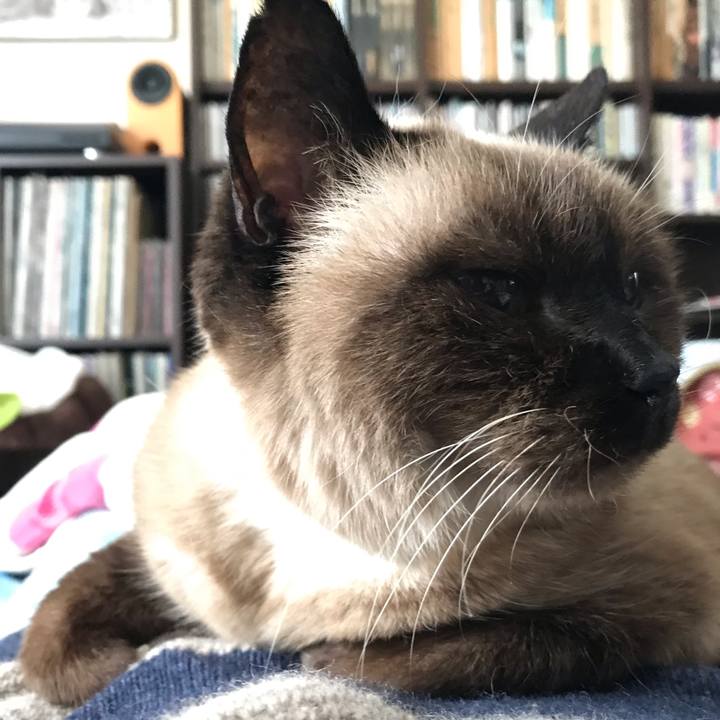 66a5f0a4 0b50 4939 ad9f 81baaa345522 1575340675629