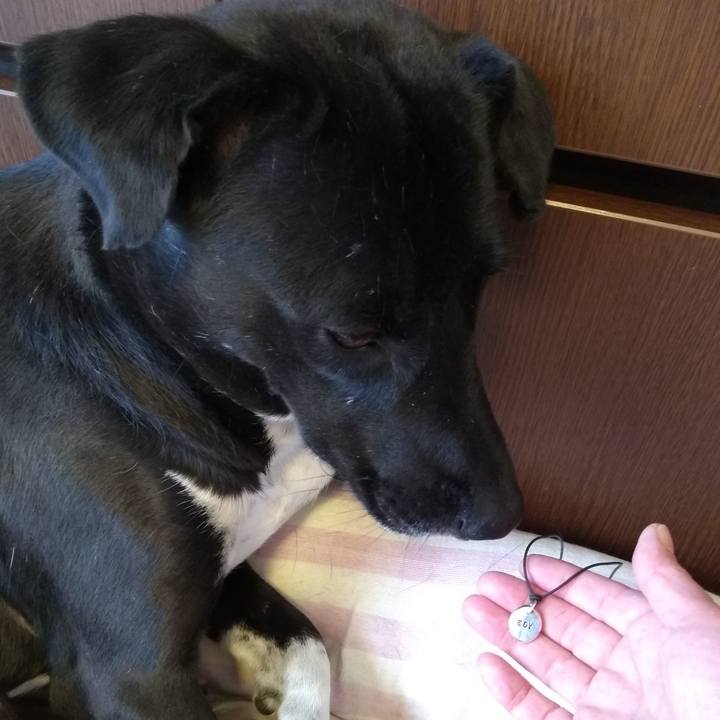 66a6016b 4d26 4a89 9078 9a994911a254 1587610475590