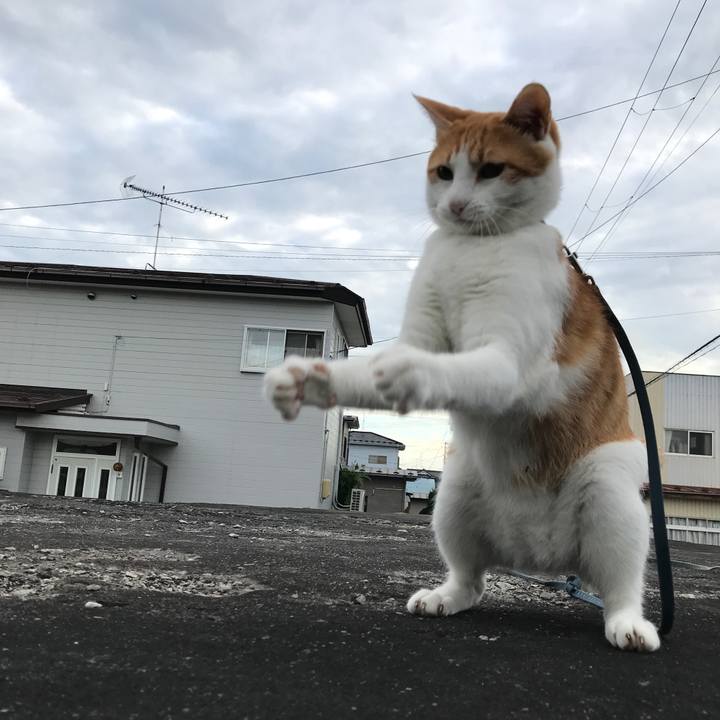 66a613e2 6616 4903 9a64 bfe8946a657a 1537073598802