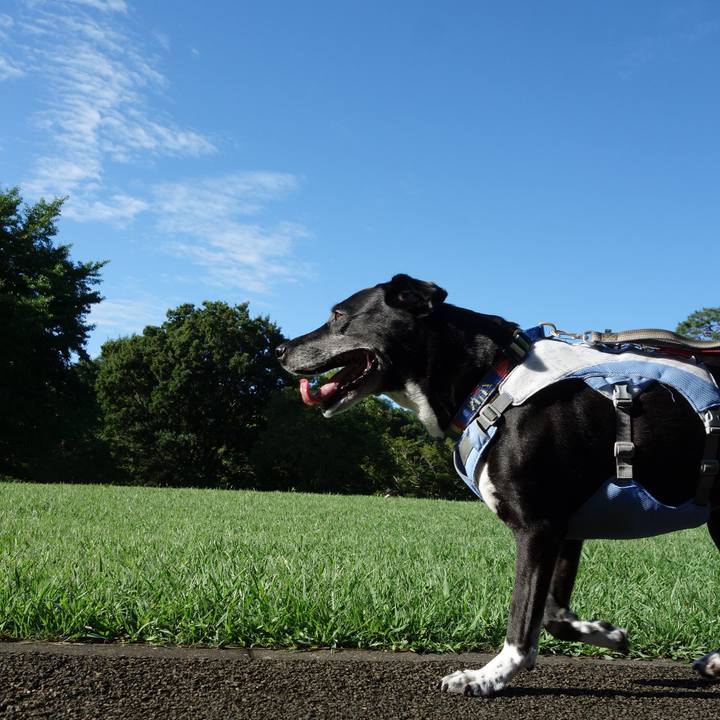 66a62d66 3b35 4766 984c d81802d77c61 1723852839623