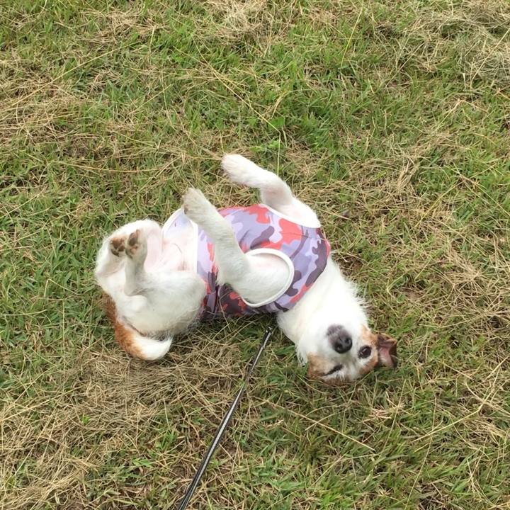 66a63ef4 b7bb 4e94 b3b9 8bdd33434711 1624836621735