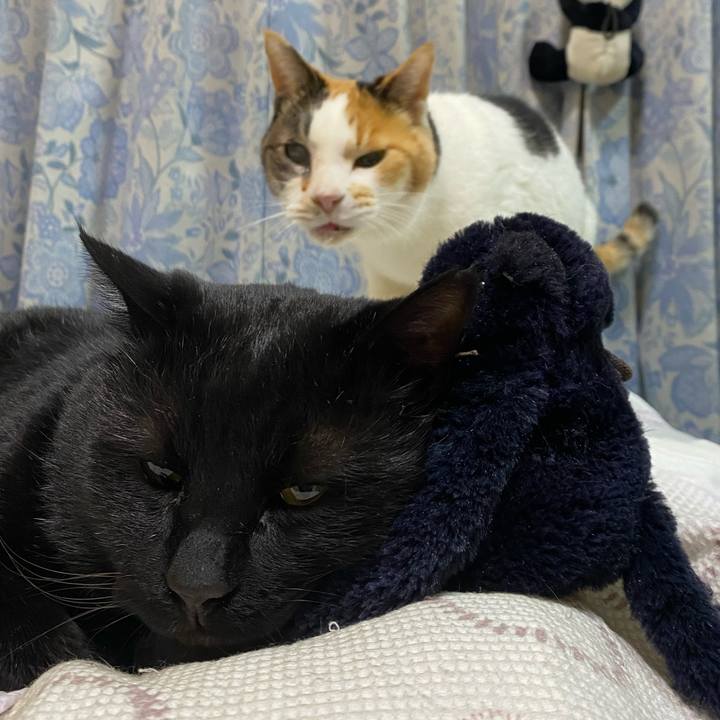 66a663d4 5a61 46f7 880c e700ac1c374d 1672112114554