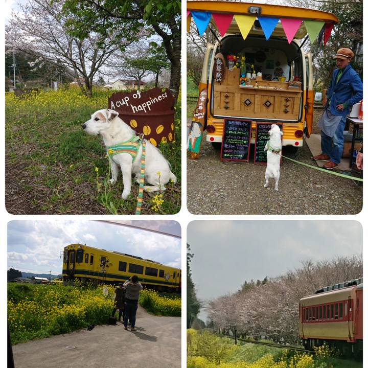 66a671df ed6d 4e38 a90a 7bfb7b099f47 1554032492388