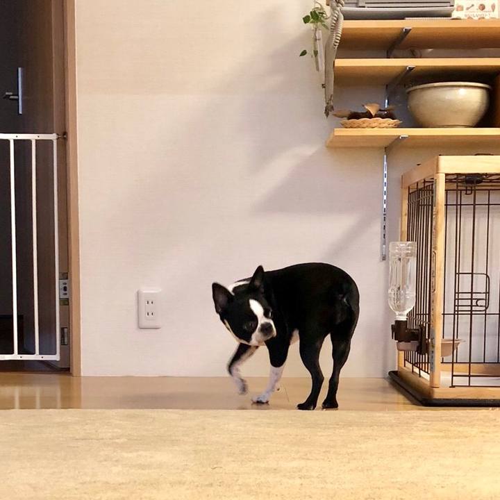 66a6ae92 4e68 4c24 99d0 08958409f7c1 1537484448009