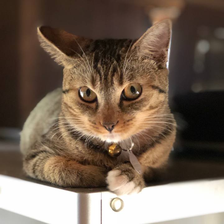 66a6e47e 5a0b 40be 93c0 0a70525756d6 1570796226606