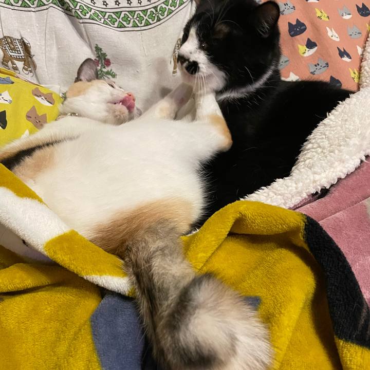 66a71e86 5427 4430 a4dd fe6e1edf95fa 1696844125534