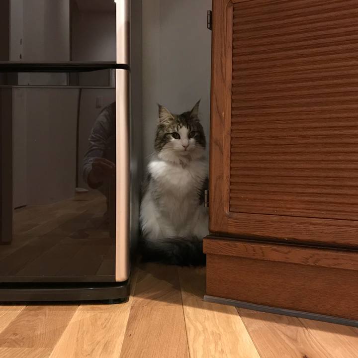 66a72ea2 f114 4ca6 90f7 913deddee3d1 1519481644781