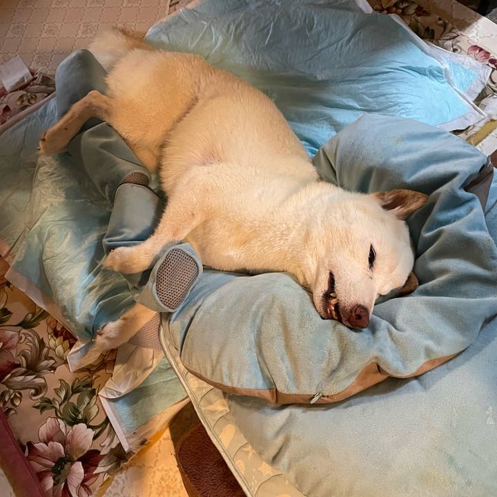 66a7cfea 9cbf 4f14 95bb a38e8c3b5c2c 1659273919464