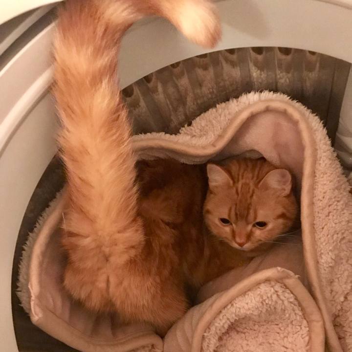 66a83a1b df7c 49c0 8148 500fc9f9635c 1514892982695