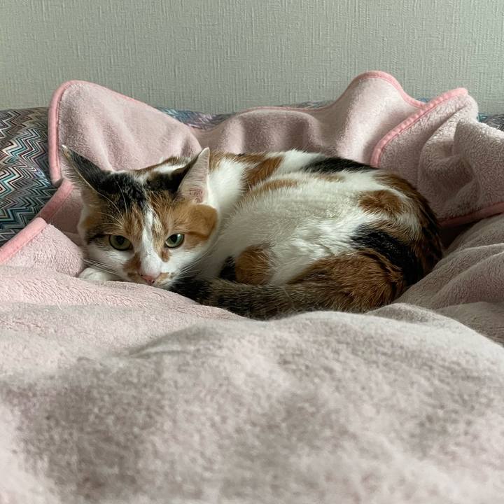 66a86552 ced6 47e3 b9d1 62cb52a9e9a7 1635644702785