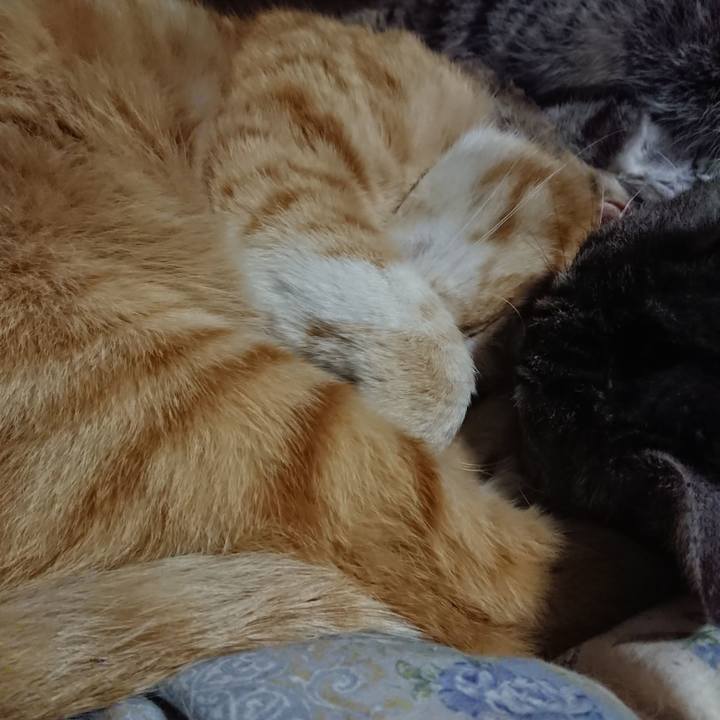 66a871b1 04b5 411d 80ef d5504befb28b 1588162870949