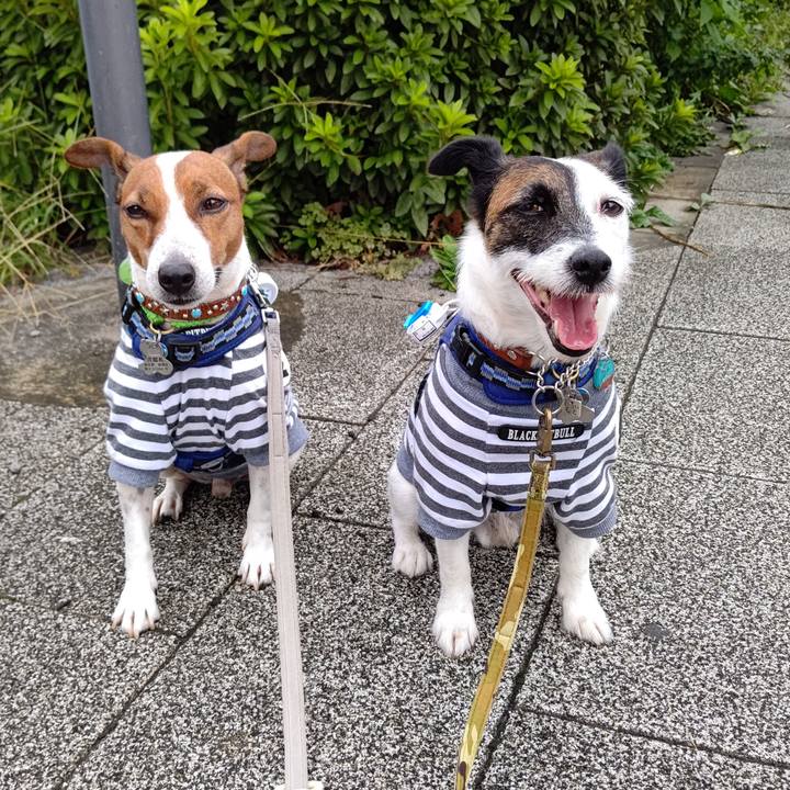 66a8826c a737 4063 94e9 910b96d65845 1631399355011