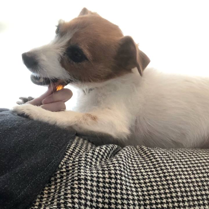 66a89a4d c971 4496 a3ab a6711dff70dd 1583555459996