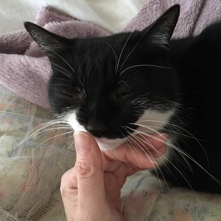 66a8b7a7 cd15 43ce 8efb b896579c958e 1521358620632