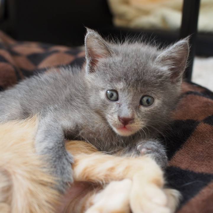 66a8dd26 ef3b 4201 8e73 1c85bf14e084 1569901927724