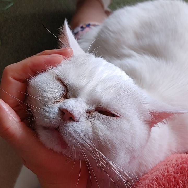 66a8e113 f327 461b b0ab c92c745b4ee1 1645574746673