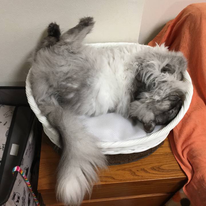 66a90bd2 538e 44ad 8ab6 4145149f4acd 1556072944104