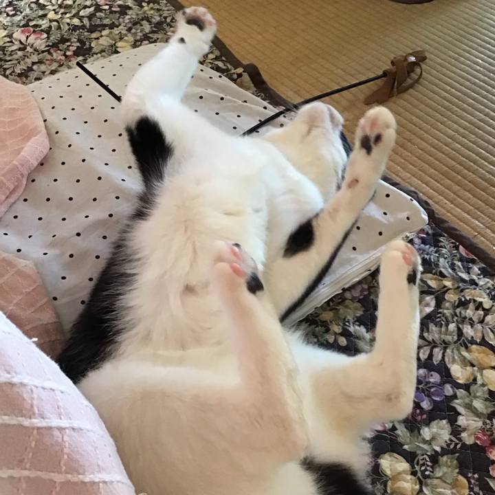 66a94531 c783 413c 8356 430f191284c5 1683863544359